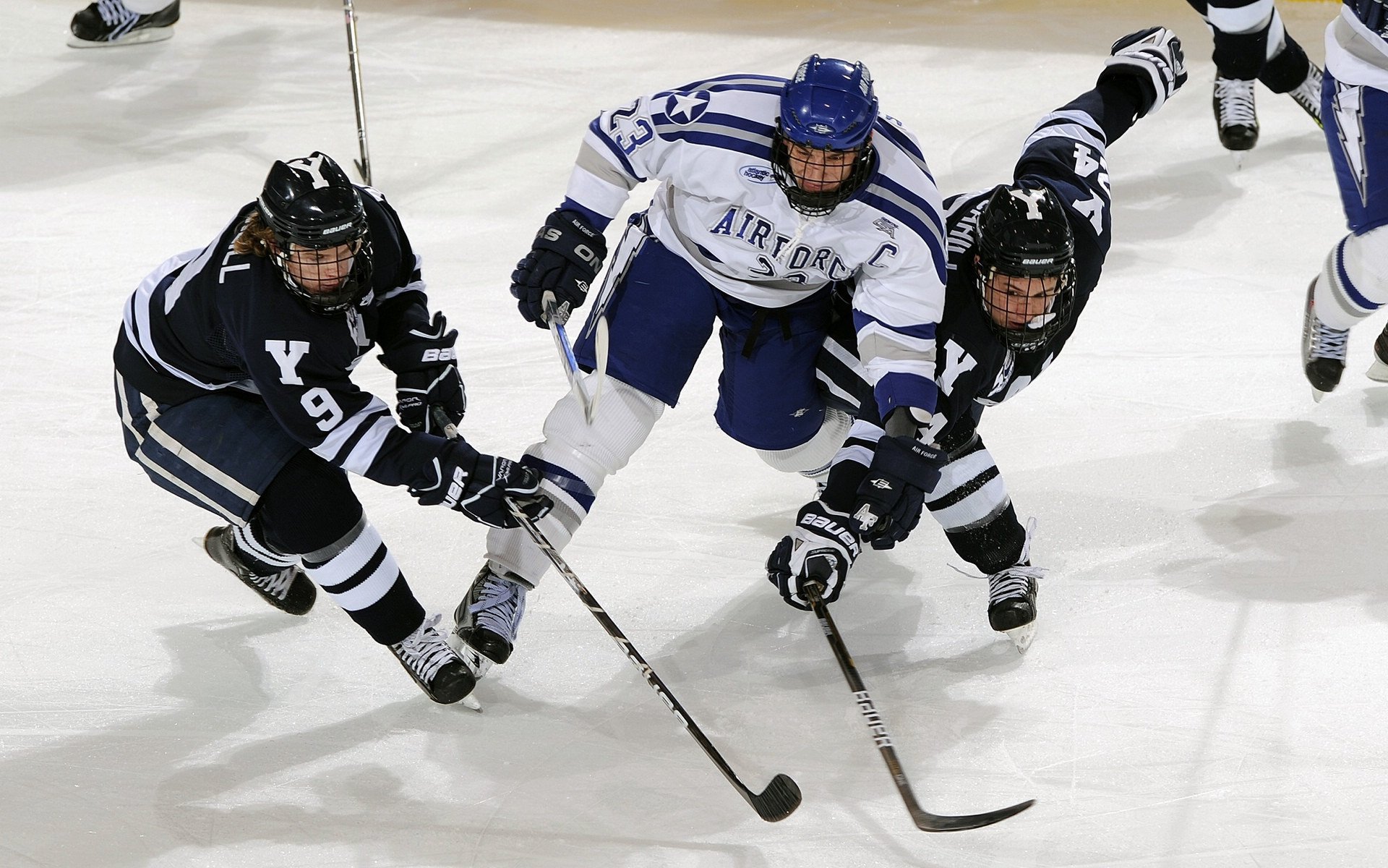 加拿大游泳技术优化助力成绩提升，加拿大国家游泳队