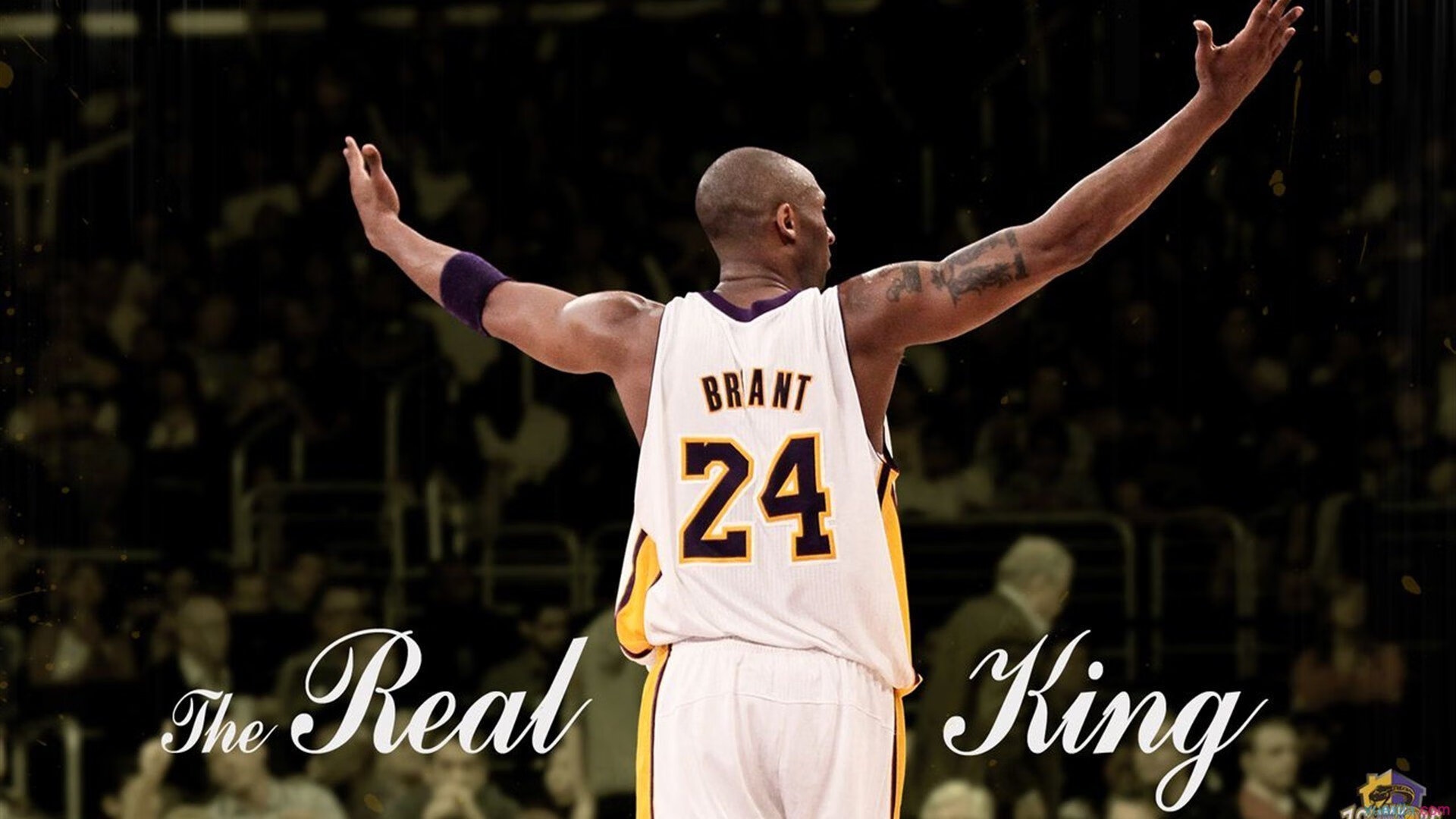 青训体系培养未来巨星